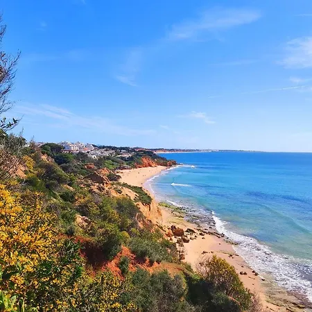 Luxury In Complex With Ocean And Marina View By Be Cherish Apartamento